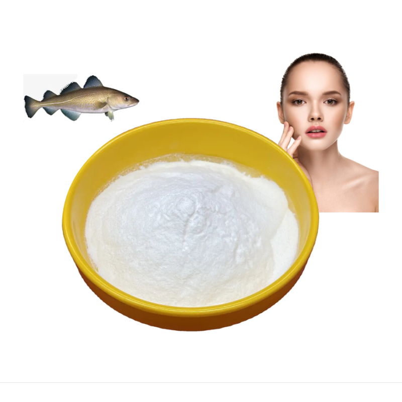 OEM Anti-Aging Fish Collagen Peptide Powder Factory - Food Grade 100% Fish Collagen Wholesale