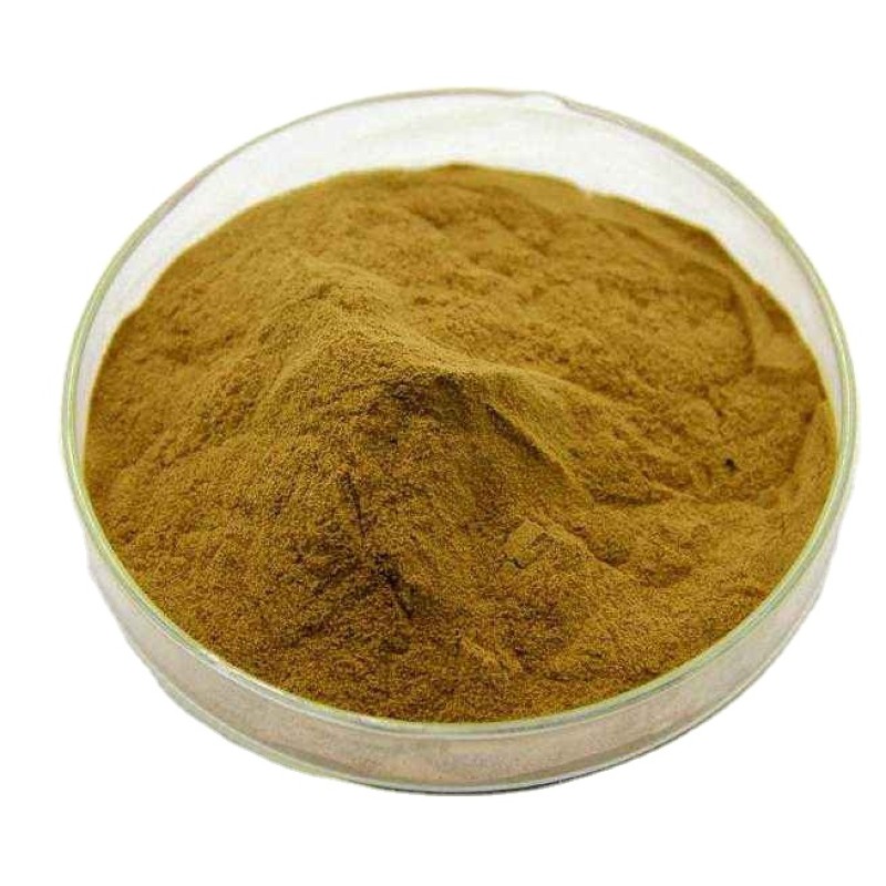 OEM Freeze Dried Aloe Vera Powder Factory - 100:1 200:1 20% 40% Aloin Custom Concentration