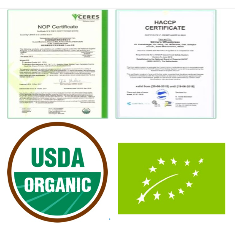 Wholesale Organic Matcha Powder Supplier - Ceremonial Grade Matcha Free Sample Available