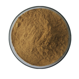 Source Factory Eucommia Ulmoides Bark Extract - Natural Eucommia Bark Extract Powder