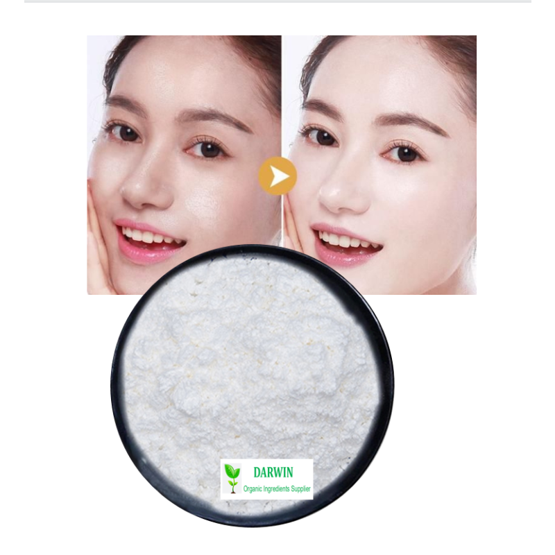 Wholesale Glutathione Powder Manufacturer - L-Glutathione Reduced Skin Whitening Powder Competitive Price
