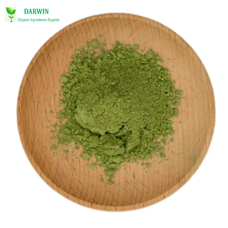 OEM Organic Barley Grass Juice Powder Factory - Green Barley Grass Powder High Quality