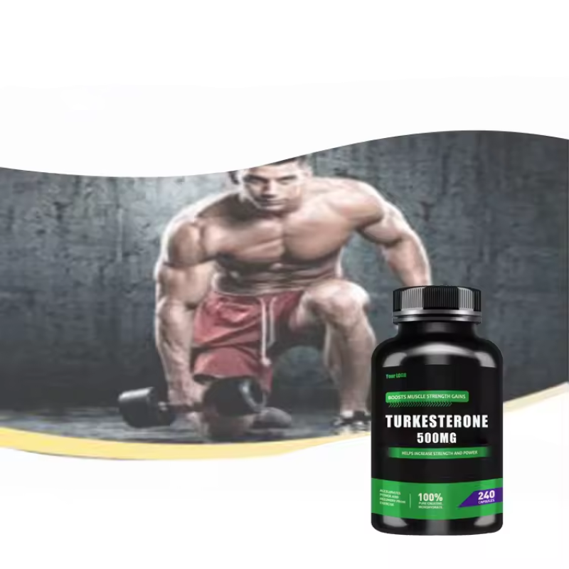 Private Label Ajuga Turkestanica Extract Supplement Factory - 10% 2% 500mg Turkesterone Capsules