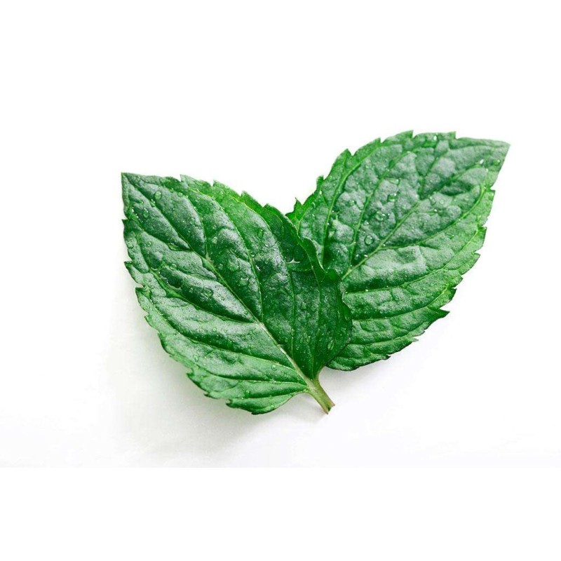 Factory Direct Liquorice Root Extract Supplier - High Quality Organic Licorice Root Powder