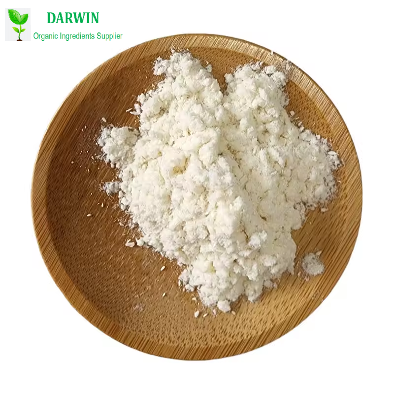 Wholesale Organic Spirulina Chlorella Powder Manufacturer - NOP EU Certified Superfood Supplement