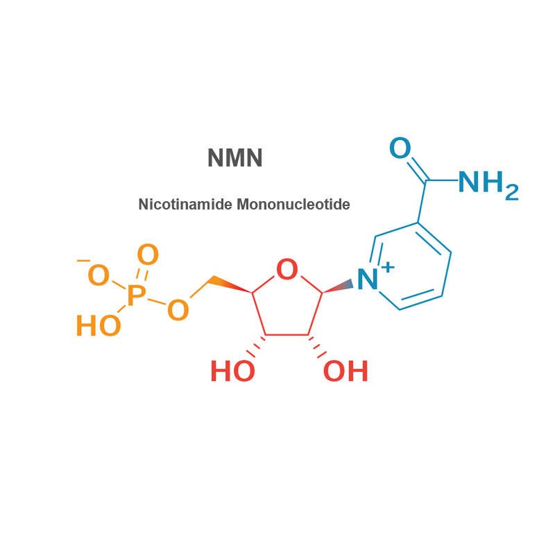 OEM Anti-aging NMN Supplements Factory - Food Grade 99% Pure NMN Powder Beta Nicotinamide Mononucleotide