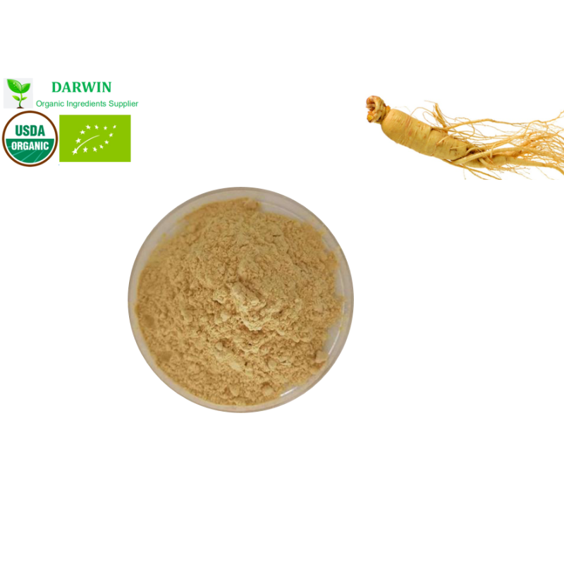 Wholesale Organic Matcha Powder Supplier - Ceremonial Grade Matcha Free Sample Available