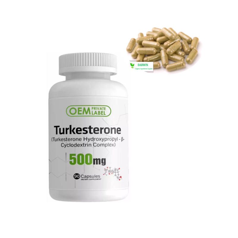 Source Factory Turkesterone Powder Supplier - 2% 10% 40% Ajuga Turkestanica Extract