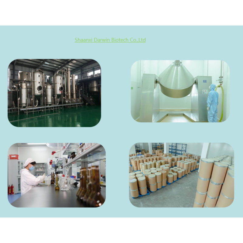 OEM L-Carnosine Capsules Factory - High Quality L-Carnosine Powder Carnosine Supplement Private Label