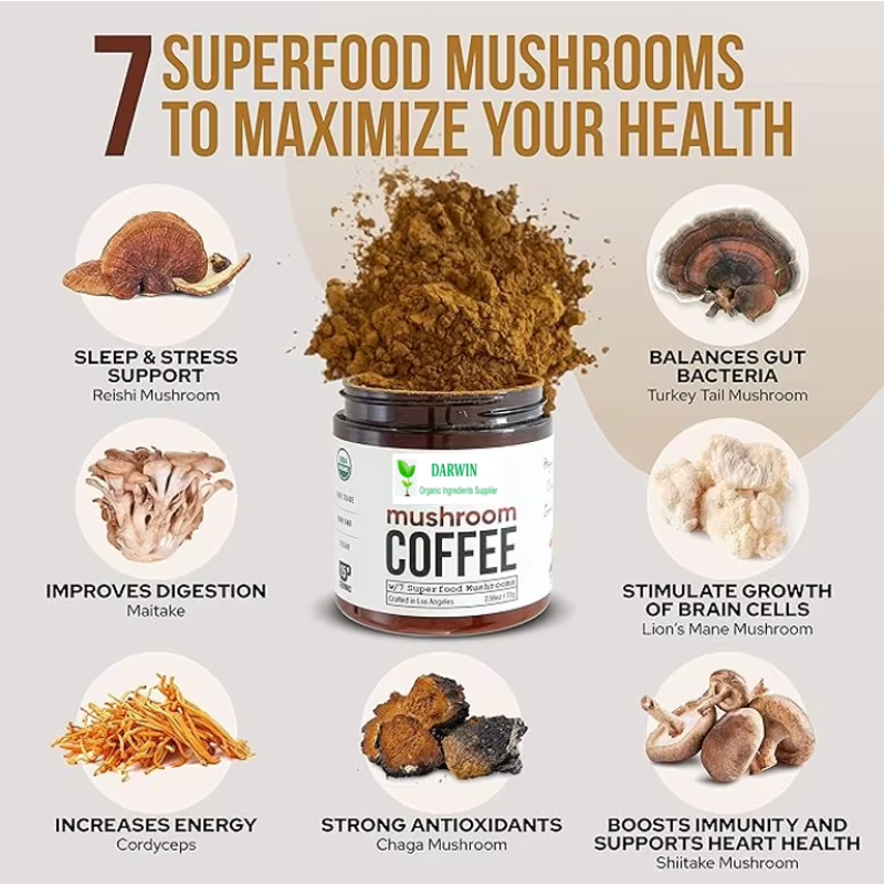 OEM Freeze Dried Aloe Vera Powder Factory - 100:1 200:1 20% 40% Aloin Custom Concentration