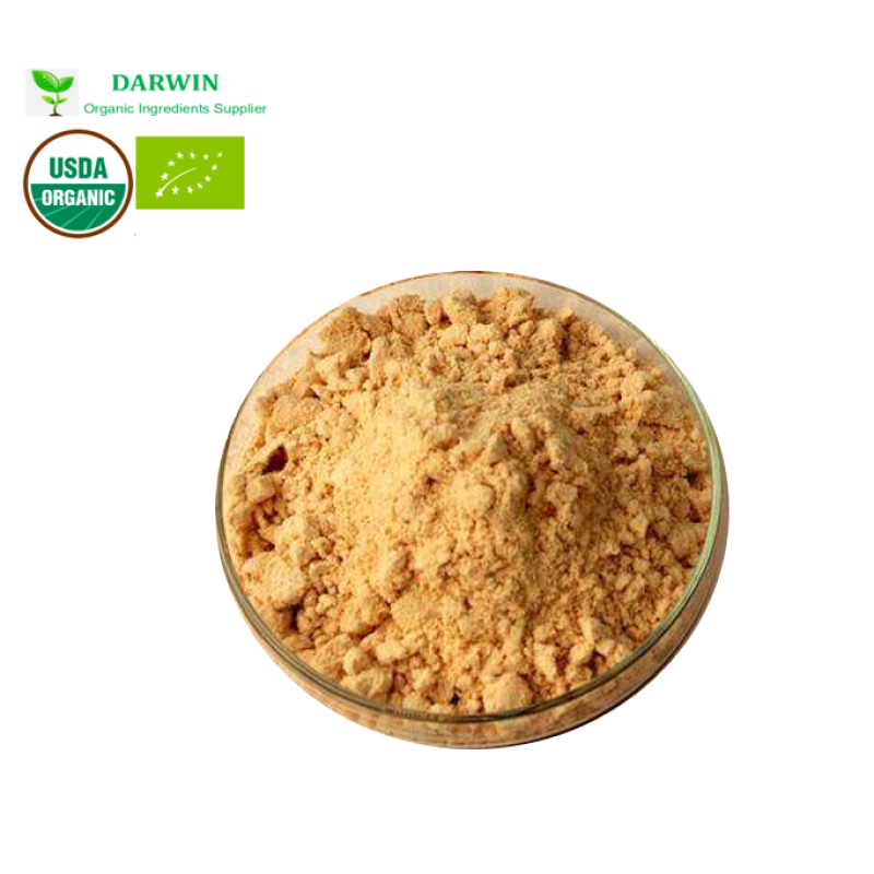 Darwin OEM Magnesium L-Threonate Capsules - 500mg Supplement Private Label Manufacturing