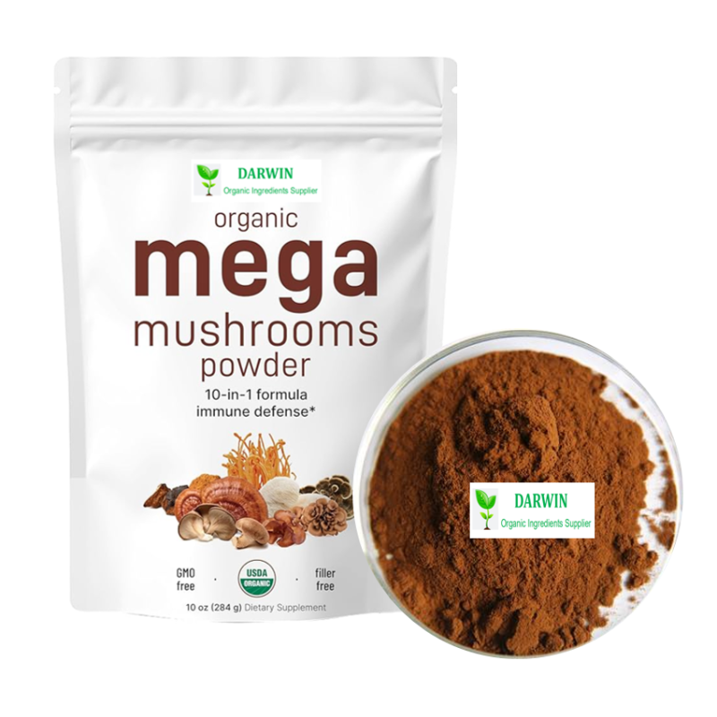 Factory Direct Organic Mushroom Extract Powder - Maitake Chaga Cordyceps Ganoderma Reishi Lions Mane Extract