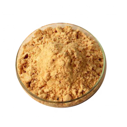 Darwin OEM Magnesium L-Threonate Capsules - 500mg Supplement Private Label Manufacturing