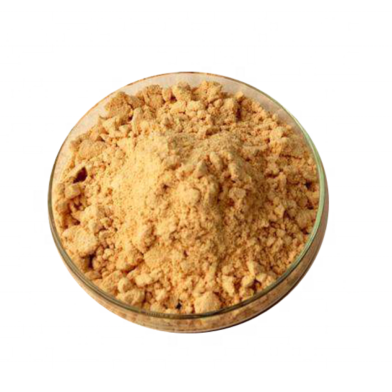 Darwin OEM Magnesium L-Threonate Capsules - 500mg Supplement Private Label Manufacturing