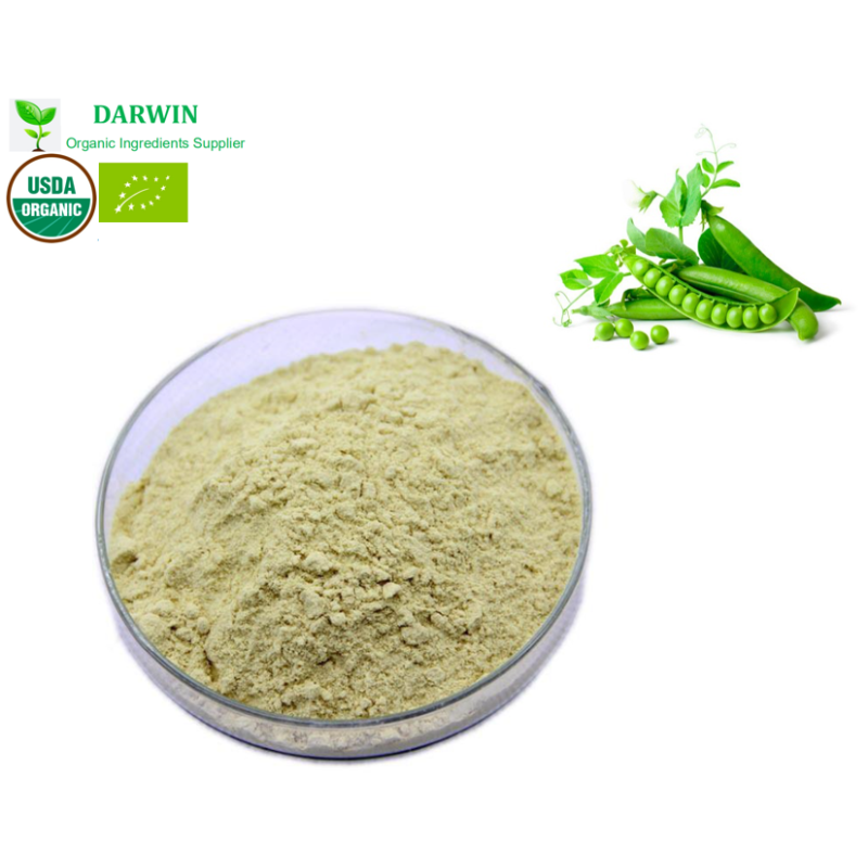 OEM Body Building Pea Protein Isolate Powder Factory - 80% 85% Organic Pea Protein Supplement