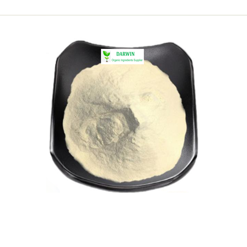 ISO Factory Hydrolyzed Elastin Peptides Powder - Swine Elastin Powder Supplier