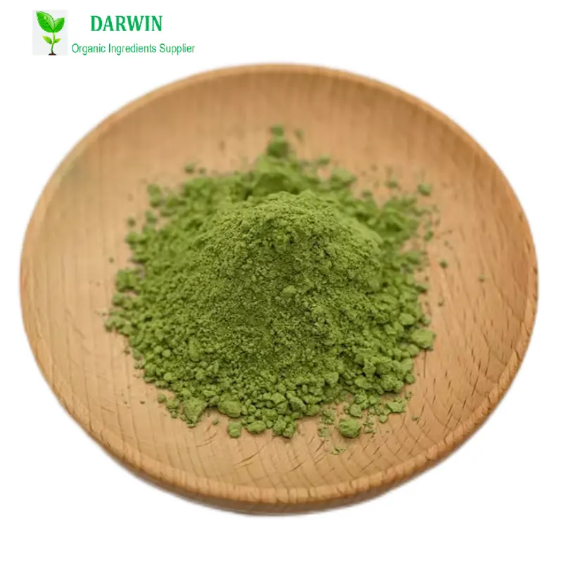 OEM Organic Barley Grass Juice Powder Factory - Green Barley Grass Powder High Quality