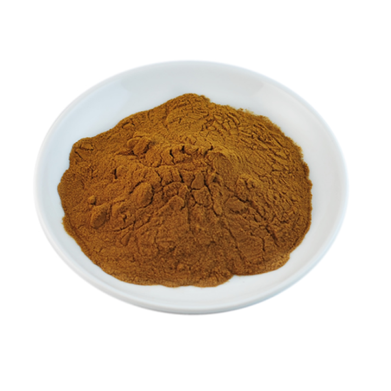 Wholesale Sea Buckthorn Fruit Powder Supplier - Organic Sea Buckthorne Extract Competitive Price