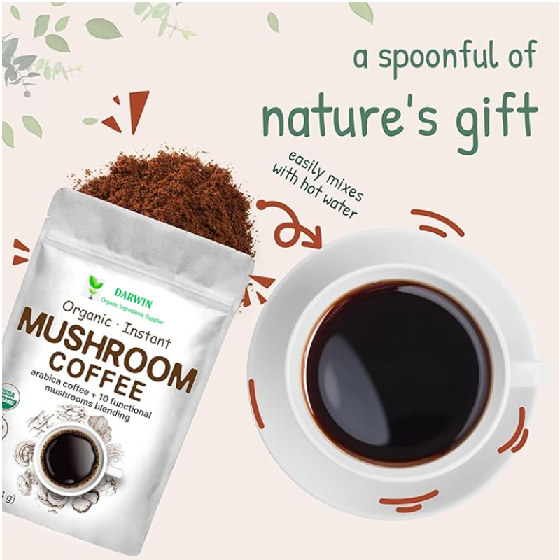 OEM Private Label Herbal Mushroom Coffee Manufacturer - Hericium Erinaceus Cordyceps Grifola Frondosa Chaga Reishi Blend