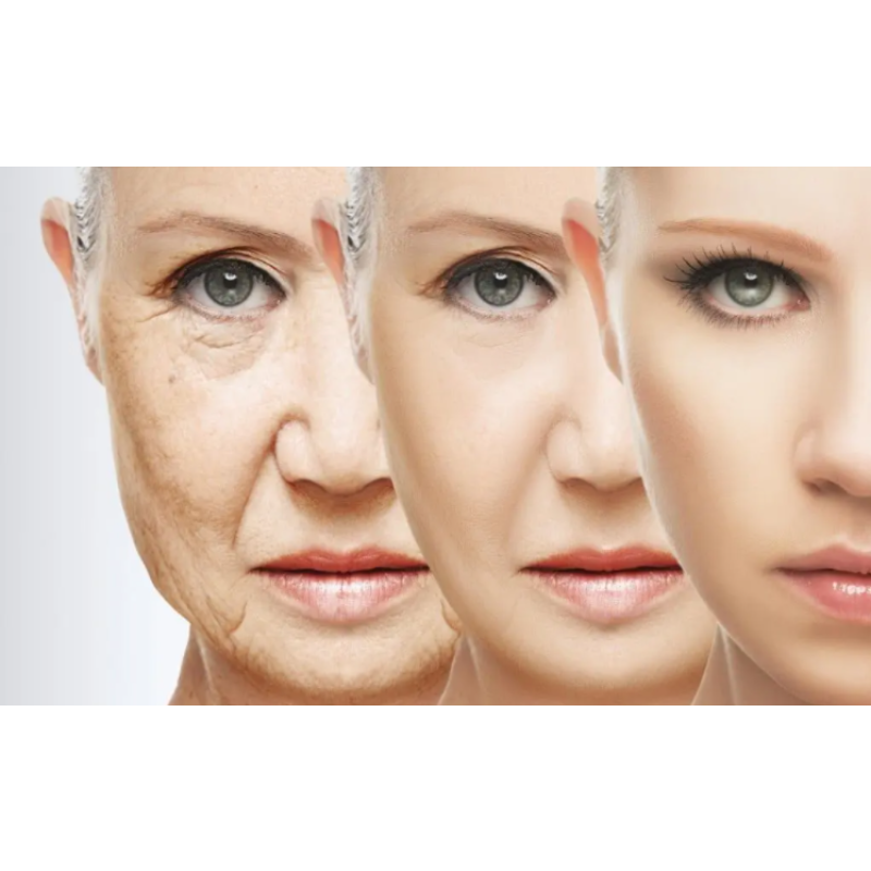 Source Factory Beta NMN Nicotinamide Mononucleotide Powder - 1094-61-7 Pure 99% NMN Powder Wholesale