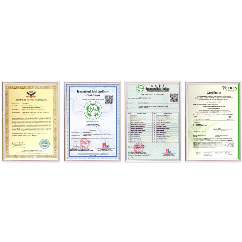 Source Factory Magnesium L-Threonate Powder - CAS 778571-57-6 99% Pure High Quality