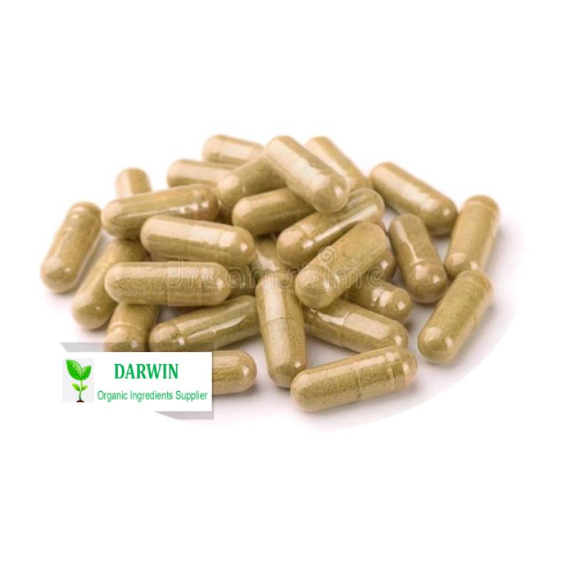 Source Factory Turkesterone Powder Supplier - 2% 10% 40% Ajuga Turkestanica Extract