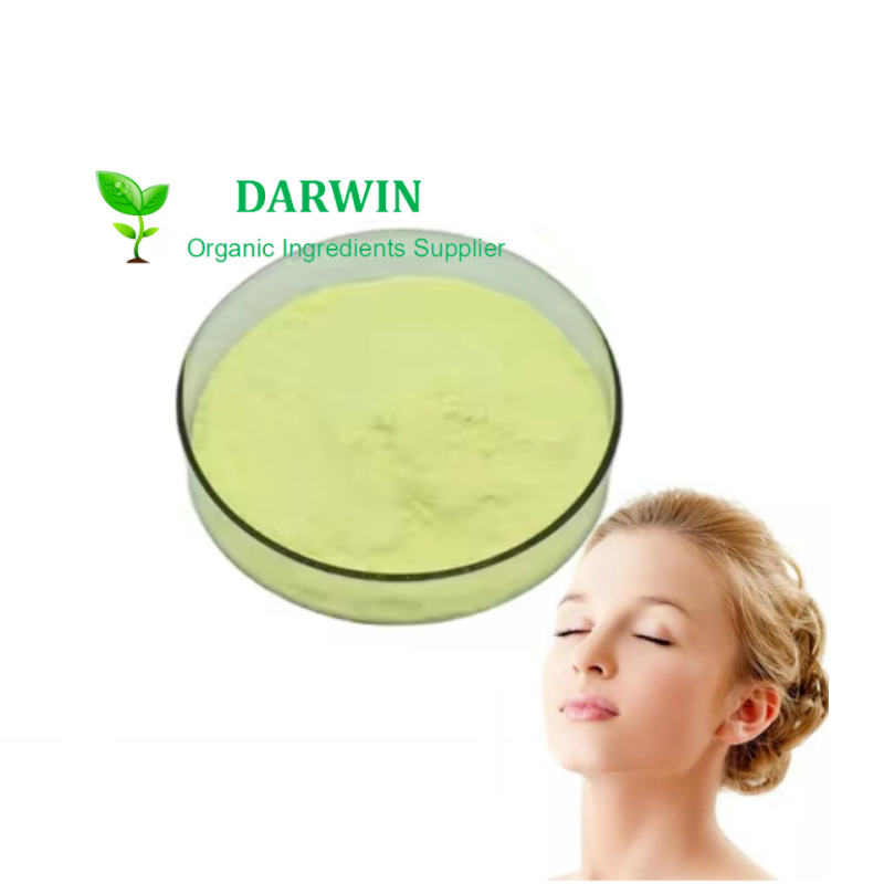 Darwin Alpha Lipoic Acid Capsule Supplier - Health Supplement Quality Assurance