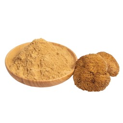 Darwin Organic Lion's Mane Mushroom Extract Wholesale - Hericium Erinaceus Powder Bulk