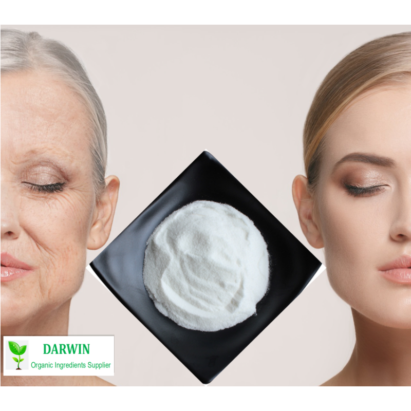 OEM Anti-aging NMN Supplements Factory - Food Grade 99% Pure NMN Powder Beta Nicotinamide Mononucleotide