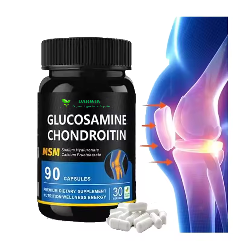 OEM Joint Bone Supplement Manufacturer - Glucosamine Tablets Sulphate MSM Chondroitin Capsules