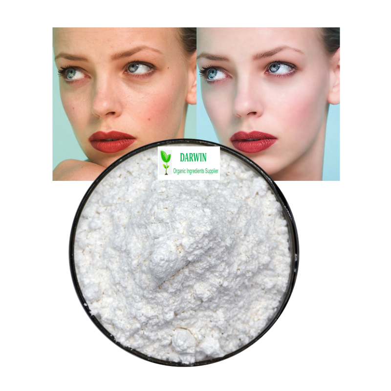 OEM Skin Whitening S-Acetyl L-Glutathione Manufacturer - Acetyl Glutathione 3054-47-5 Cosmetic Use