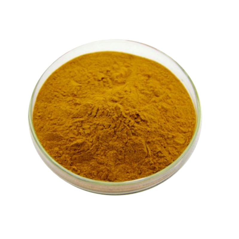 Wholesale Organic Dong Quai Root Extract Powder - Artemisia Lactone Angelica Root Powder