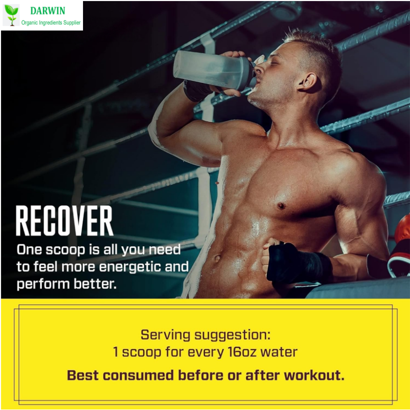 OEM Electrolyte Drink Powder Manufacturer - Replenish Energy Electrolyte Powder Private Label