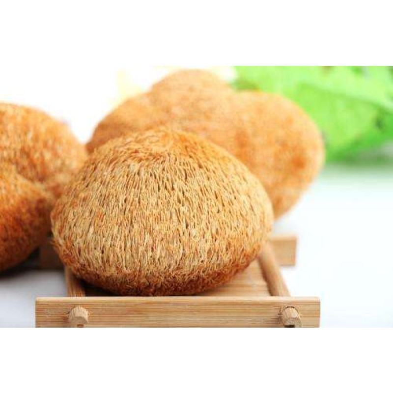 Darwin Organic Lion's Mane Mushroom Extract Wholesale - Hericium Erinaceus Powder Bulk