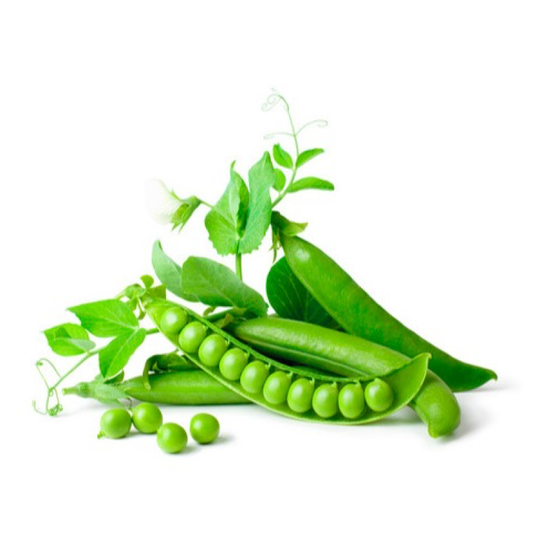 OEM Body Building Pea Protein Isolate Powder Factory - 80% 85% Organic Pea Protein Supplement