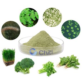 Chiti Grass Greens Powder Manufacturer - Food Grade Superfood Blend with Wheatgrass, Barley Grass, Moringa, Chlorella & Celery