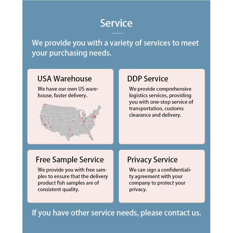 Freeze-Dried Mango Slices Manufacturer - Sweet Crisp Snack Dried Fruit