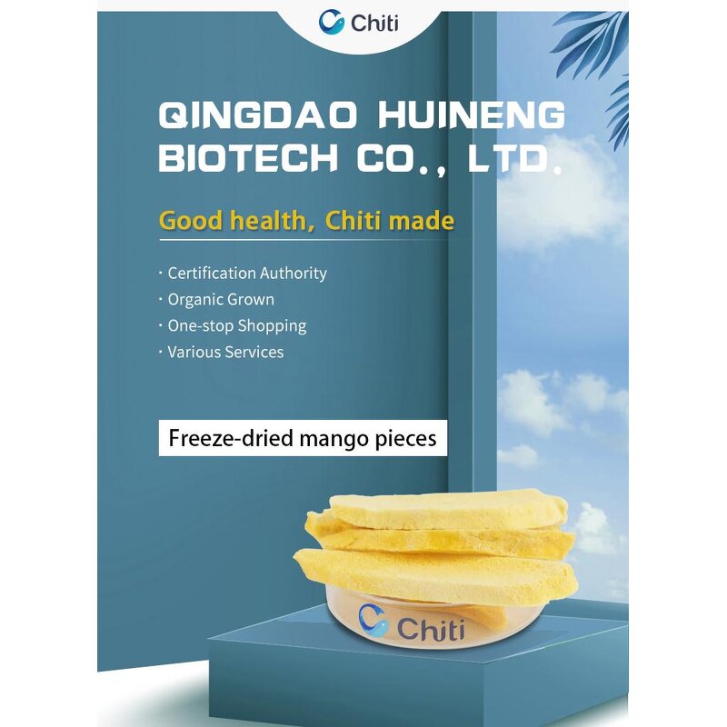 Freeze Dried Mango Manufacturer - FD Sweet Slices & Blocks for Export