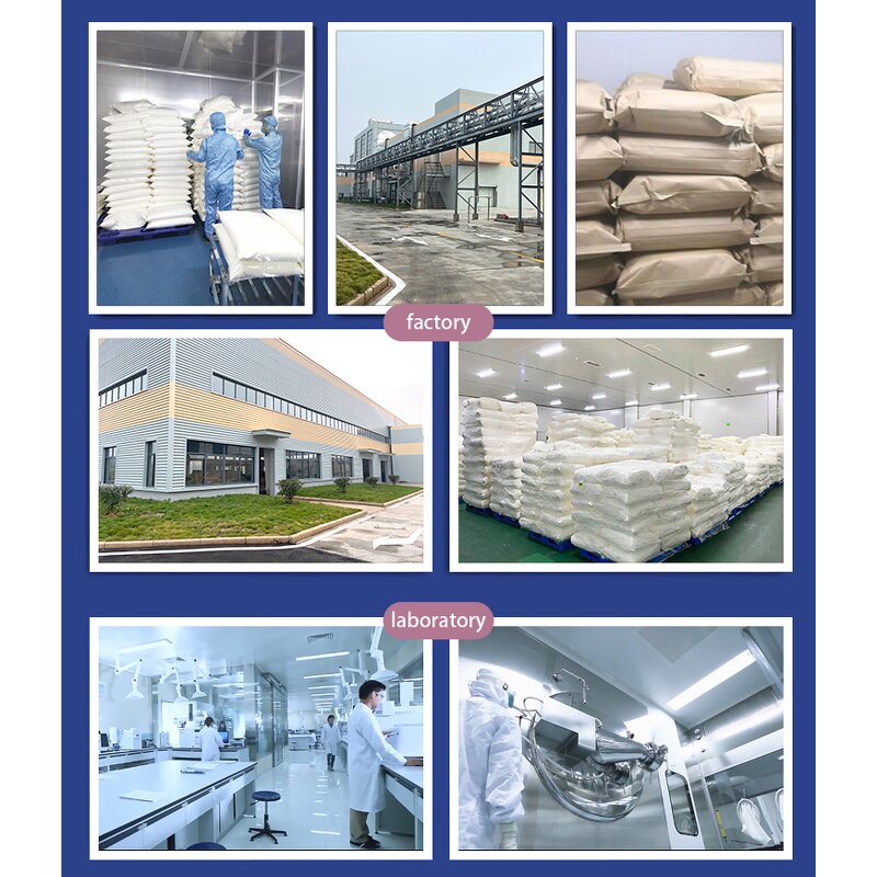 Sea Buckthorn Extract Manufacturer - Fruit Juice Concentrate with Flavonoids