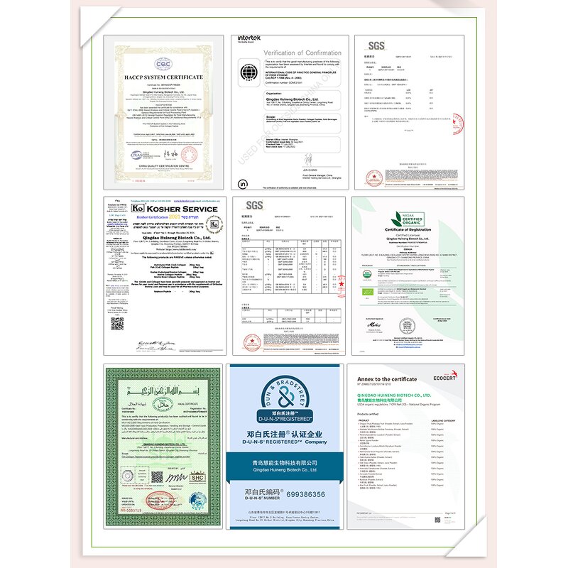 Green Apple Juice Concentrate Manufacturer - 2KG Pack, Directly Mixed for Drinking