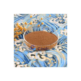 Equisetum Hyemale Horsetail Extract Powder - Organic 10:1 Concentrated Food Grade Herbal Supplement