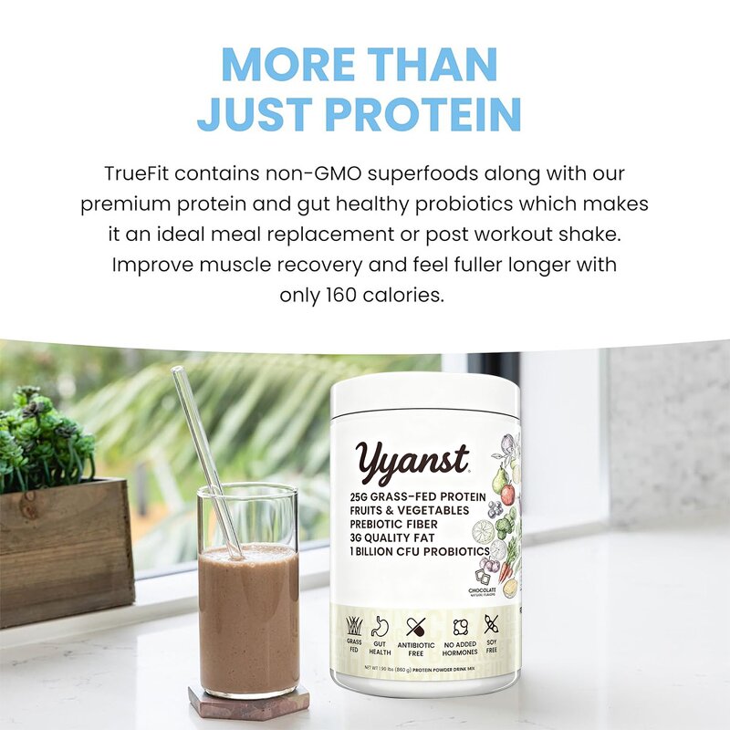 Matcha Green Tea Powder Manufacturer - Organic Weight Loss & Gut Health Drink