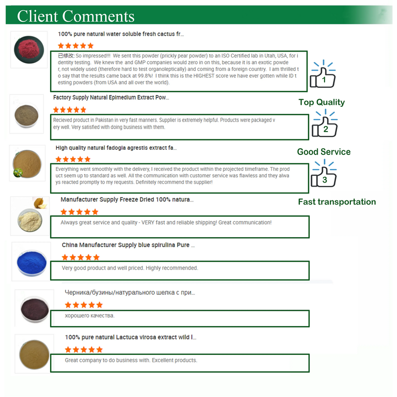 Hydrolyzed Sodium Hyaluronate Powder Manufacturer - 99% Purity, CAS 158254-23-0