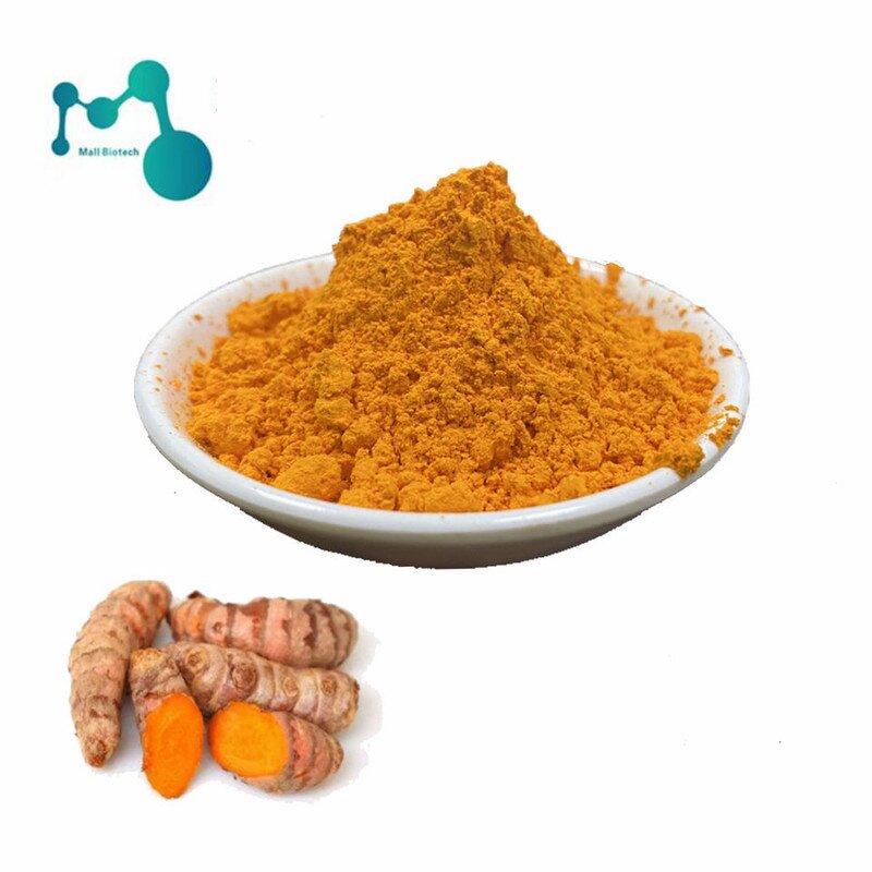 Turmeric Curcumin Powder Manufacturer - 95% Extract, Bulk Wholesale