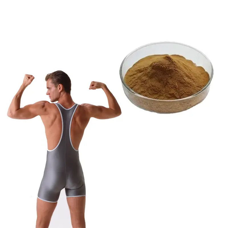 Turkesterone Ajuga Turkestanica Extract Manufacturer - 10% Pure Turkesterone Powder for Private Label