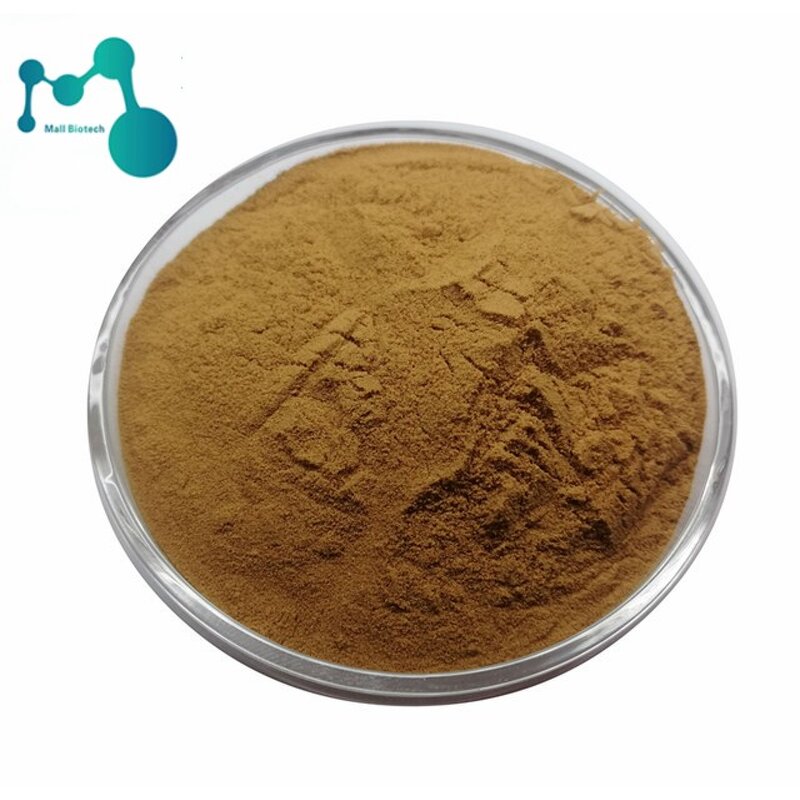 Turkesterone Ajuga Turkestanica Extract Manufacturer - 10% Pure Turkesterone Powder for Private Label