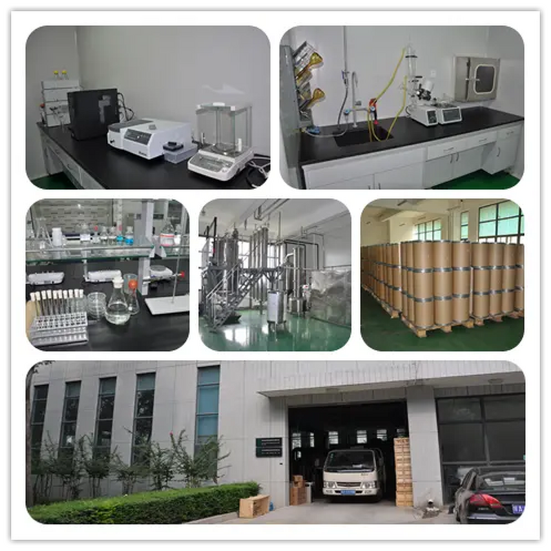 Glucosamine L-5-Methyltetrahydrofolate Manufacturer - CAS 1181972-37-1 Food Additive