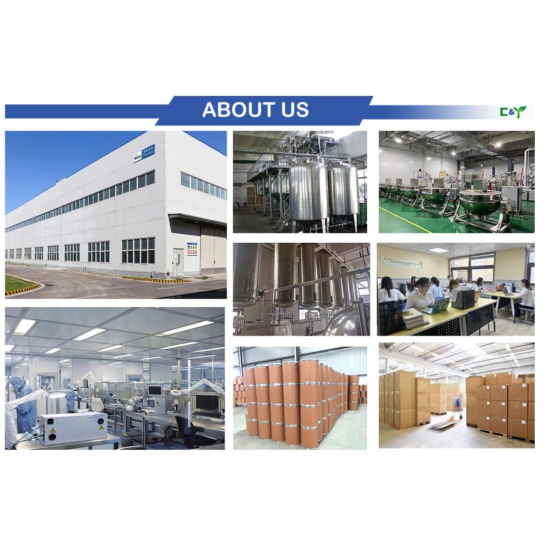 Lion's Mane Powder Manufacturer - Organic Extract & Capsules