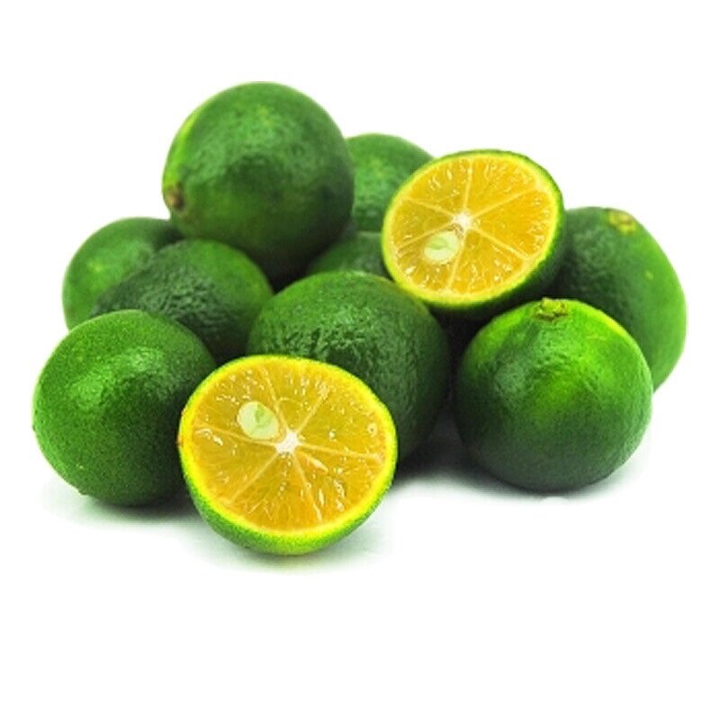 Lime Powder Manufacturer - Top Grade Lime Fruit & Juice Powder