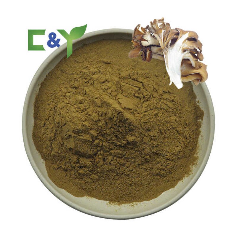 Maitake Mushroom Extract Manufacturer - 50% Polysaccharide Powder